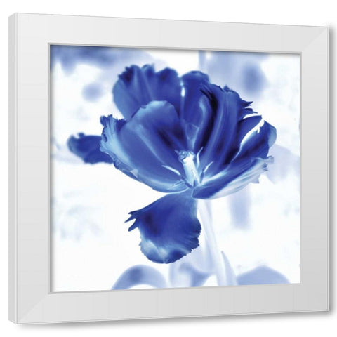 Blue Ice Tulip White Modern Wood Framed Art Print by Donovan, Kelly