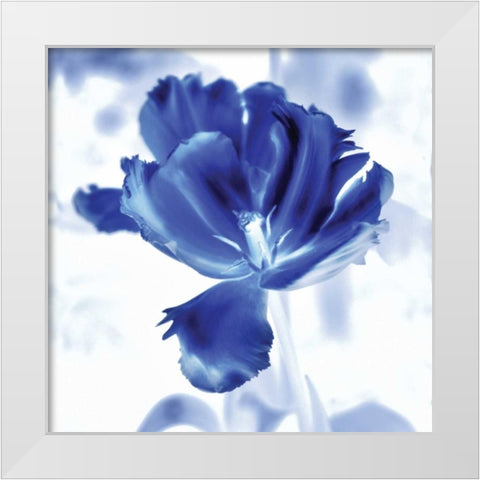 Blue Ice Tulip White Modern Wood Framed Art Print by Donovan, Kelly