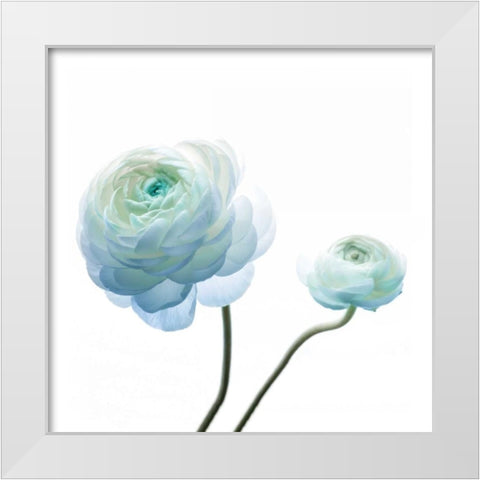 Gorgeous Blue I White Modern Wood Framed Art Print by Delimont, Danita