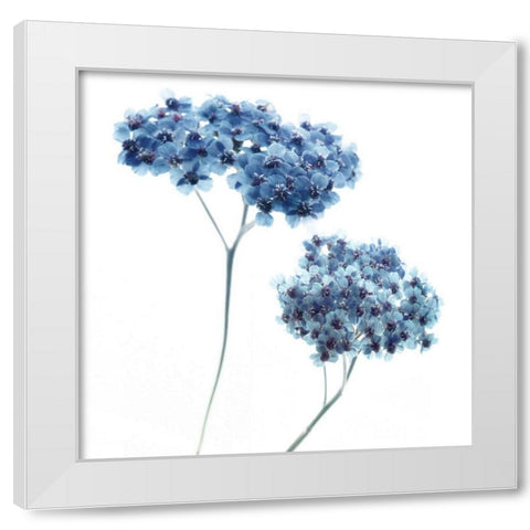 Gorgeous Blue III White Modern Wood Framed Art Print by Delimont, Danita