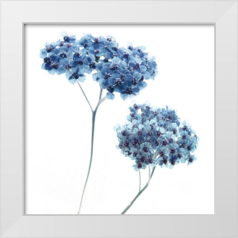 Gorgeous Blue III White Modern Wood Framed Art Print by Delimont, Danita