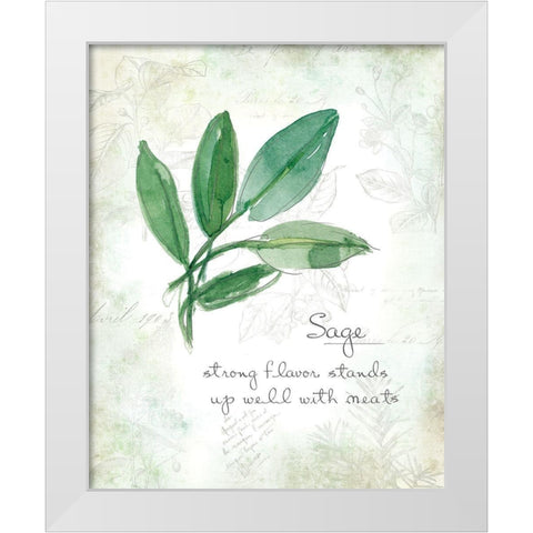 Fresh Sage White Modern Wood Framed Art Print by Robinson, Carol