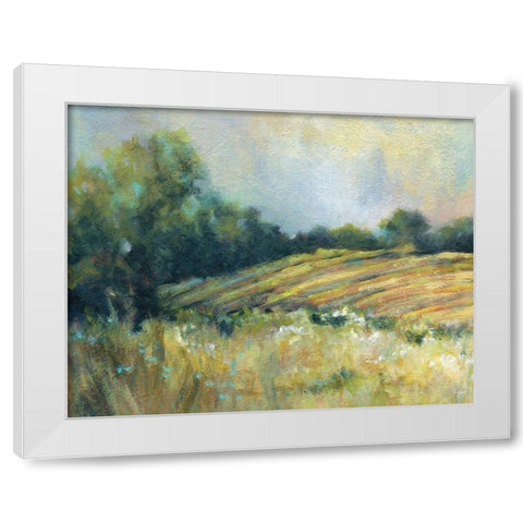Pastoral Field White Modern Wood Framed Art Print by Robinson, Carol
