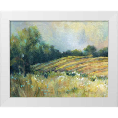Pastoral Field White Modern Wood Framed Art Print by Robinson, Carol