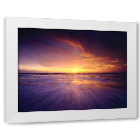 Regal Ocean White Modern Wood Framed Art Print by Delimont, Danita