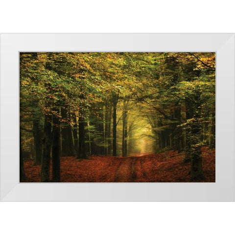 A Forest Path White Modern Wood Framed Art Print by Van de Goor, Lars