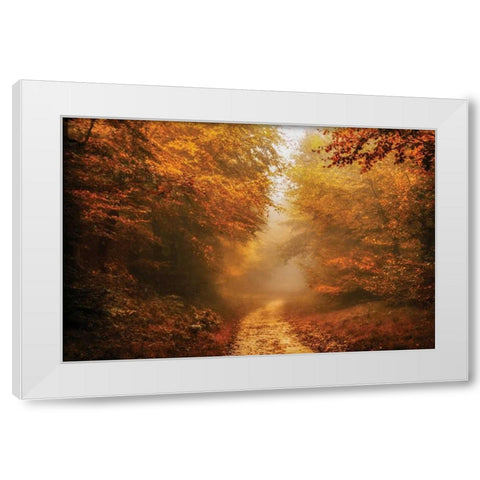 Autumnal Walk White Modern Wood Framed Art Print by Van de Goor, Lars