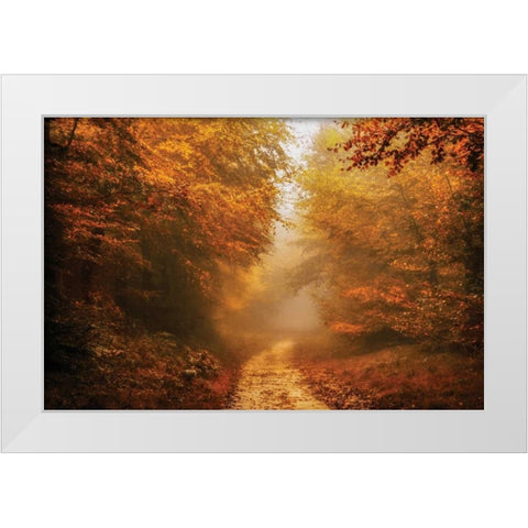 Autumnal Walk White Modern Wood Framed Art Print by Van de Goor, Lars