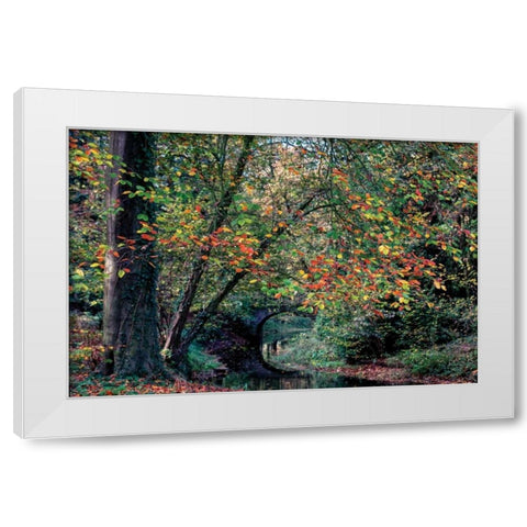 Beech and Bridge White Modern Wood Framed Art Print by Van de Goor, Lars
