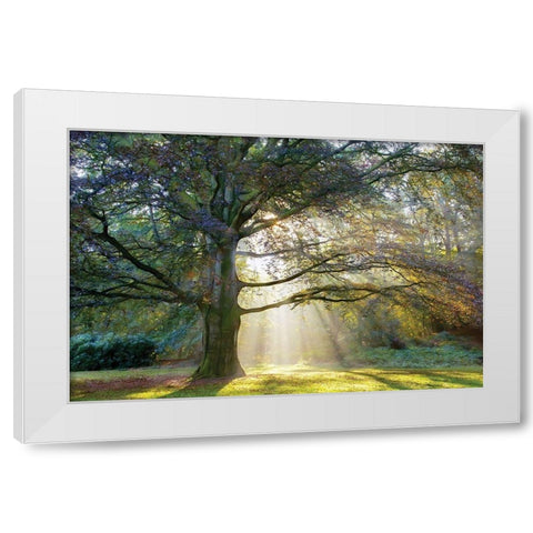 The Natural White Modern Wood Framed Art Print by Van de Goor, Lars