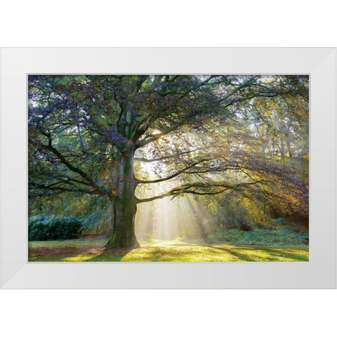 The Natural White Modern Wood Framed Art Print by Van de Goor, Lars