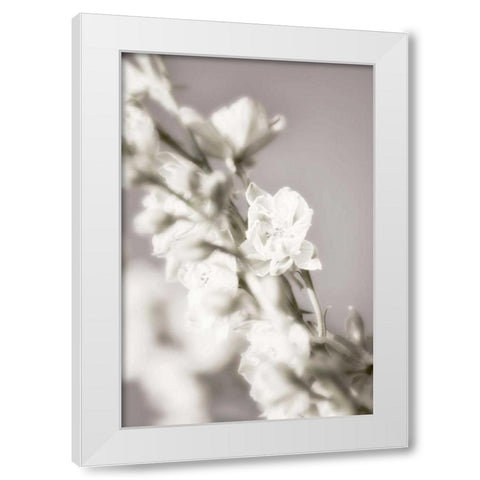 Jardin dArgent III White Modern Wood Framed Art Print by Delimont, Danita