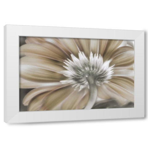 Dreamin White Modern Wood Framed Art Print by Weisz, Irene