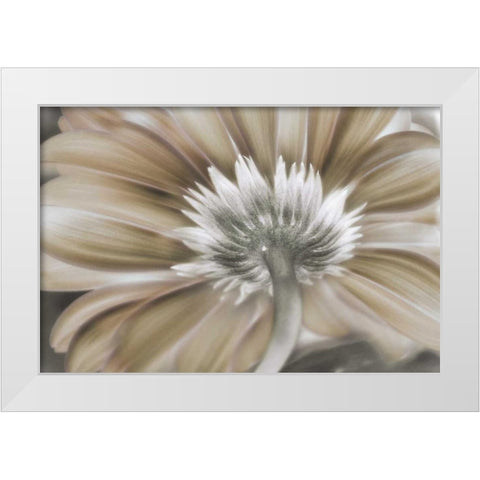 Dreamin White Modern Wood Framed Art Print by Weisz, Irene