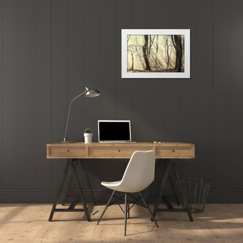 Forest White Modern Wood Framed Art Print by Van de Goor, Lars