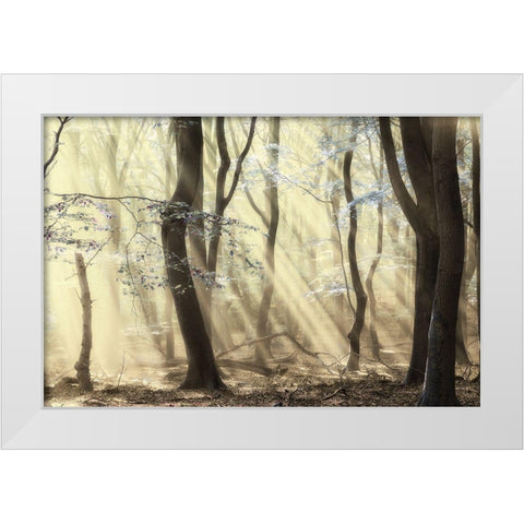 Forest White Modern Wood Framed Art Print by Van de Goor, Lars