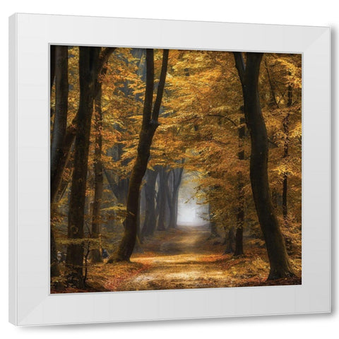 Speuldimensions White Modern Wood Framed Art Print by Van de Goor, Lars