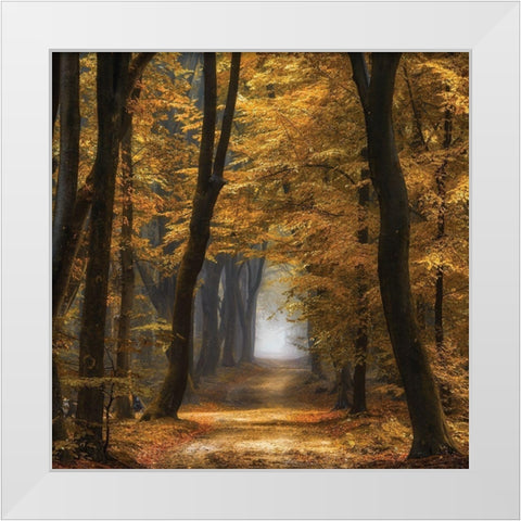 Speuldimensions White Modern Wood Framed Art Print by Van de Goor, Lars