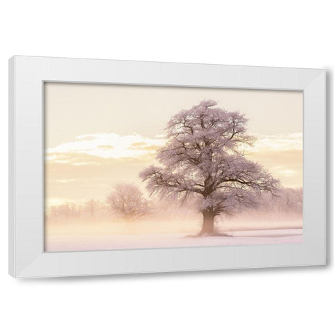 Winter Glow White Modern Wood Framed Art Print by Van de Goor, Lars