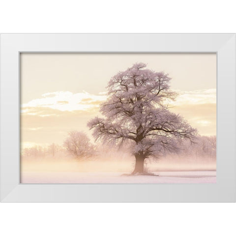 Winter Glow White Modern Wood Framed Art Print by Van de Goor, Lars