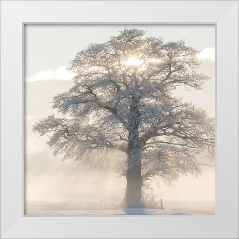 Winter King White Modern Wood Framed Art Print by Van de Goor, Lars