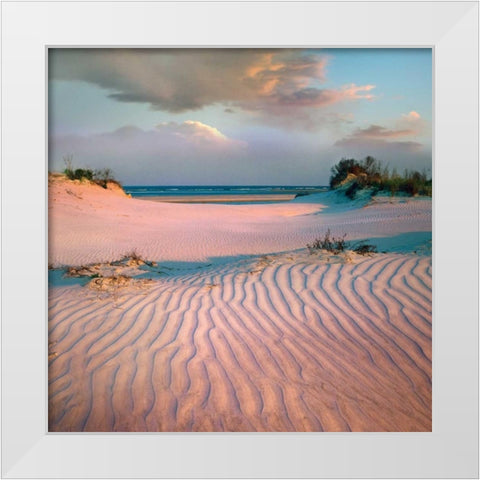 Little Talbot White Modern Wood Framed Art Print by Delimont, Danita