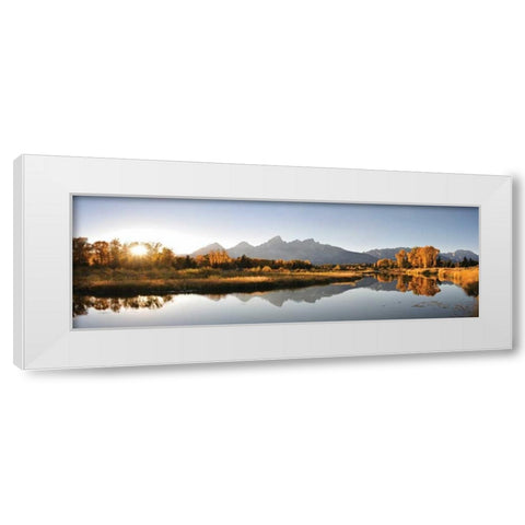 Landing on Snake White Modern Wood Framed Art Print by Delimont, Danita