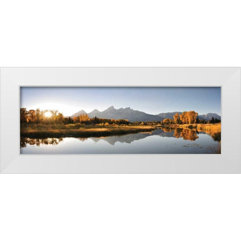 Landing on Snake White Modern Wood Framed Art Print by Delimont, Danita