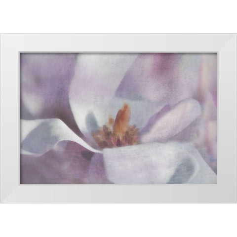 Magnolia Melody I White Modern Wood Framed Art Print by Weisz, Irene