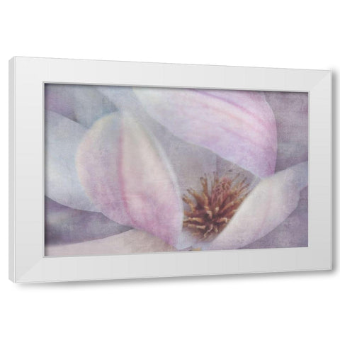 Magnolia Melody II White Modern Wood Framed Art Print by Weisz, Irene