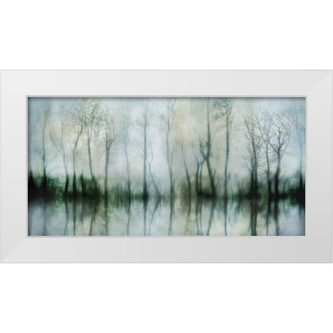 Mirrored Pond White Modern Wood Framed Art Print by Weisz, Irene