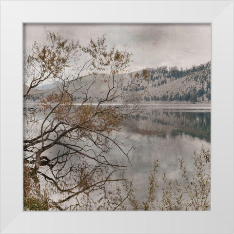 Warm Afternoon I White Modern Wood Framed Art Print by Weisz, Irene