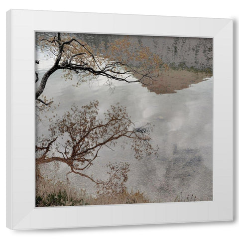 Warm Afternoon II White Modern Wood Framed Art Print by Weisz, Irene