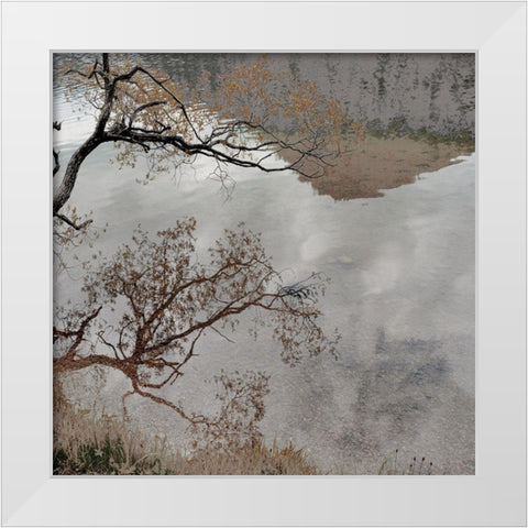 Warm Afternoon II White Modern Wood Framed Art Print by Weisz, Irene