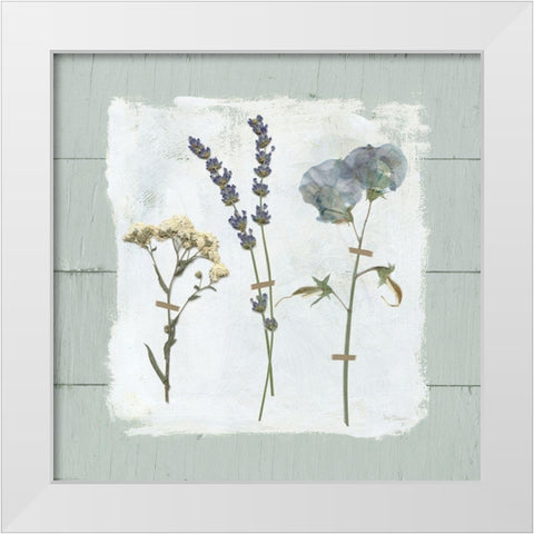 Pressed Flowers on White Modern Wood Framed Art Print by Robinson, Carol