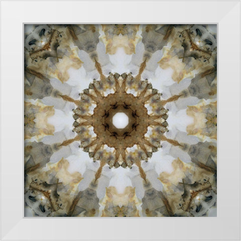 Kaleidoscope Honey Gray White Modern Wood Framed Art Print by Nan