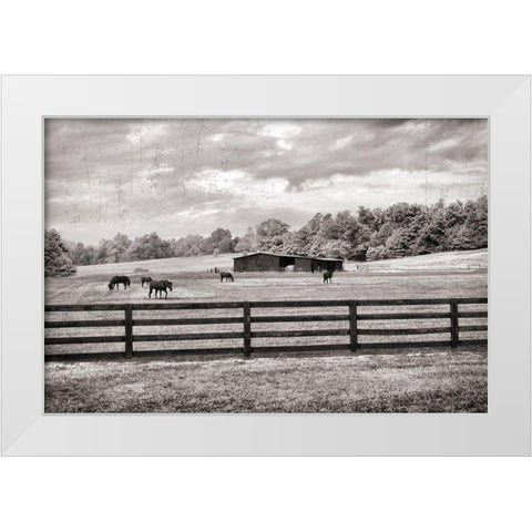 Horse Country White Modern Wood Framed Art Print by Nan