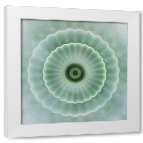 Kaleidoscope Succulent I White Modern Wood Framed Art Print by Weisz, Irene