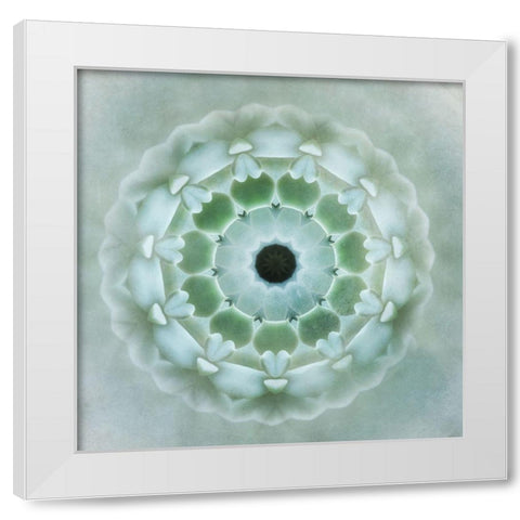 Kaleidoscope Succulent II White Modern Wood Framed Art Print by Weisz, Irene