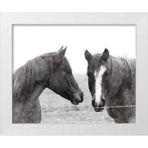 Wild Pastures White Modern Wood Framed Art Print by Robinson, Carol