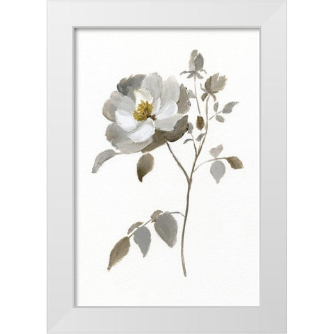 Neutral Rose II White Modern Wood Framed Art Print by Nan