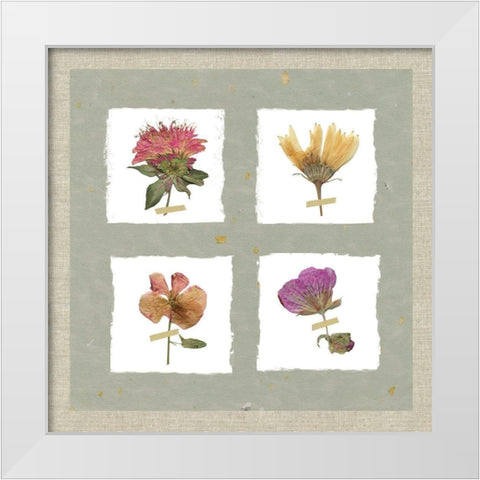 Pressed Blooms II White Modern Wood Framed Art Print by Robinson, Carol