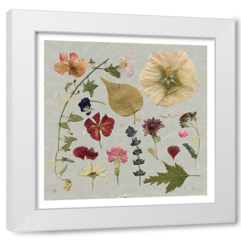 Pressed Assortment White Modern Wood Framed Art Print by Robinson, Carol