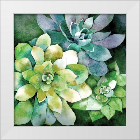 Summer Succulents White Modern Wood Framed Art Print by Knutsen, Conrad