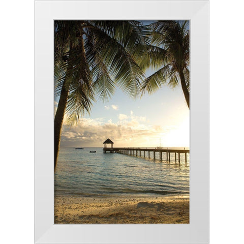 Pier and Palm White Modern Wood Framed Art Print by Delimont, Danita
