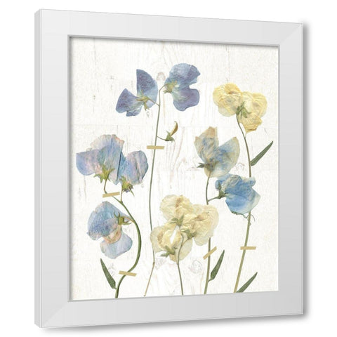 Blue Sweet Peas II White Modern Wood Framed Art Print by Robinson, Carol