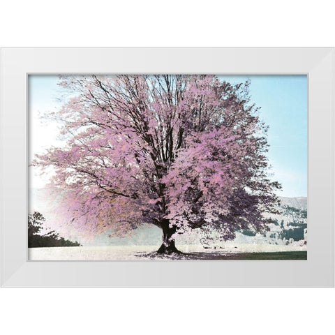 Season of Spring White Modern Wood Framed Art Print by Weisz, Irene