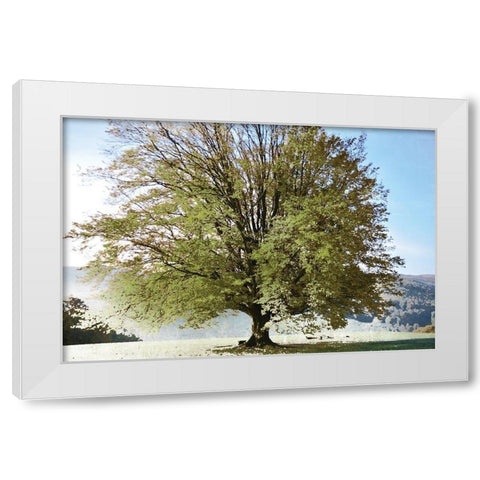 Season of Summer White Modern Wood Framed Art Print by Weisz, Irene