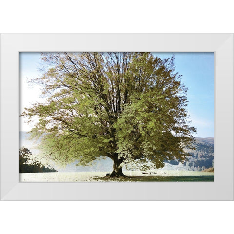 Season of Summer White Modern Wood Framed Art Print by Weisz, Irene