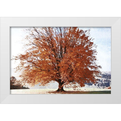 Season of Fall White Modern Wood Framed Art Print by Weisz, Irene